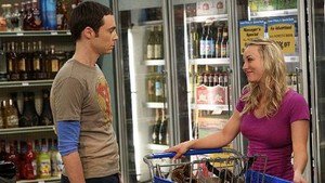 A Teoria do Big Bang  6×24