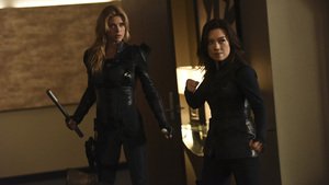 Agentes da S.H.I.E.L.D. 3×6