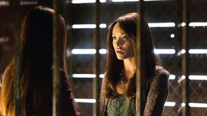 Diários de Um Vampiro 4×1