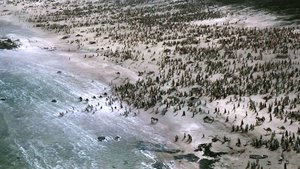 Êxodo: Deuses e Reis