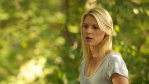 Homeland – Segurança Nacional 1×7