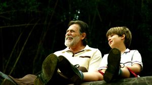 Meu Pé de Laranja Lima