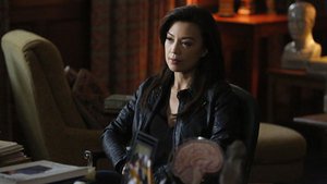 Agentes da S.H.I.E.L.D. 2×13