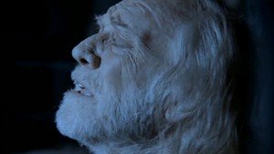 O Apocalipse de São João