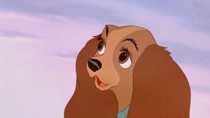 A Dama e o Vagabundo