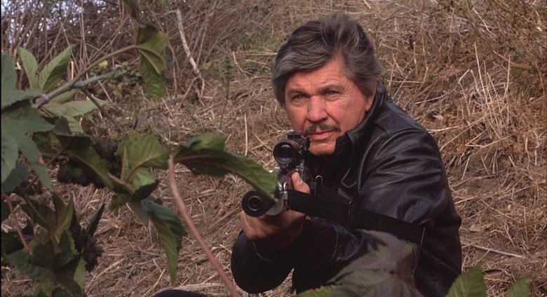 Desejo de Matar 4 – Operação Crackdown