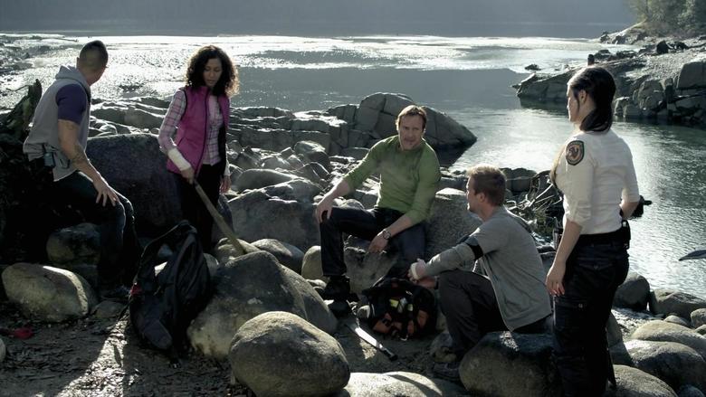 Demônios da Tasmânia