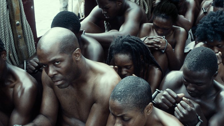 À Procura da Liberdade