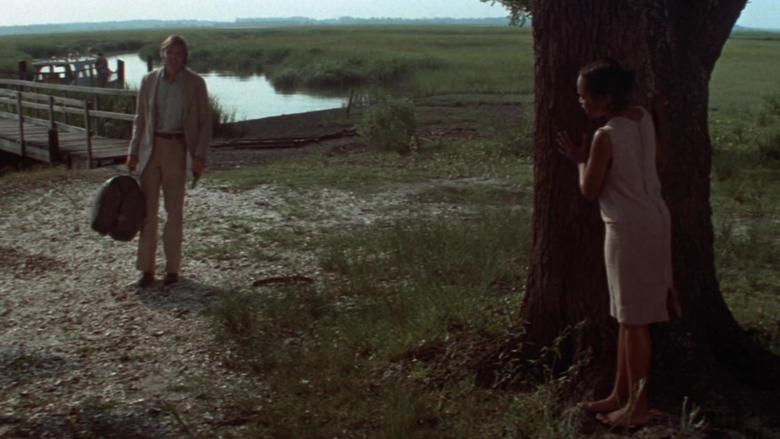 Conrack: Um educador por excelência