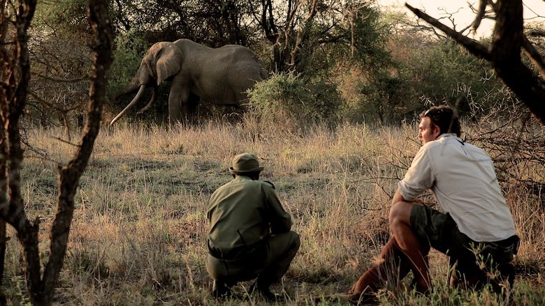 O Extermínio do Marfim