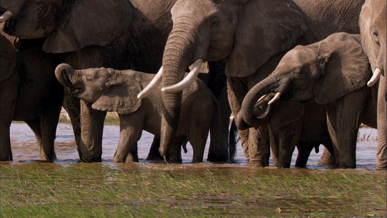 África Extraordinária