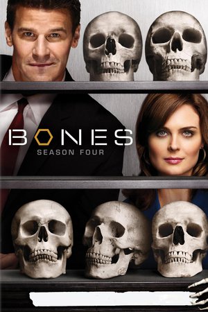 Bones